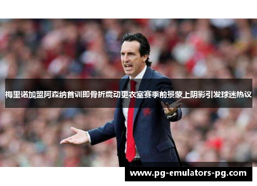 梅里诺加盟阿森纳首训即骨折震动更衣室赛季前景蒙上阴影引发球迷热议